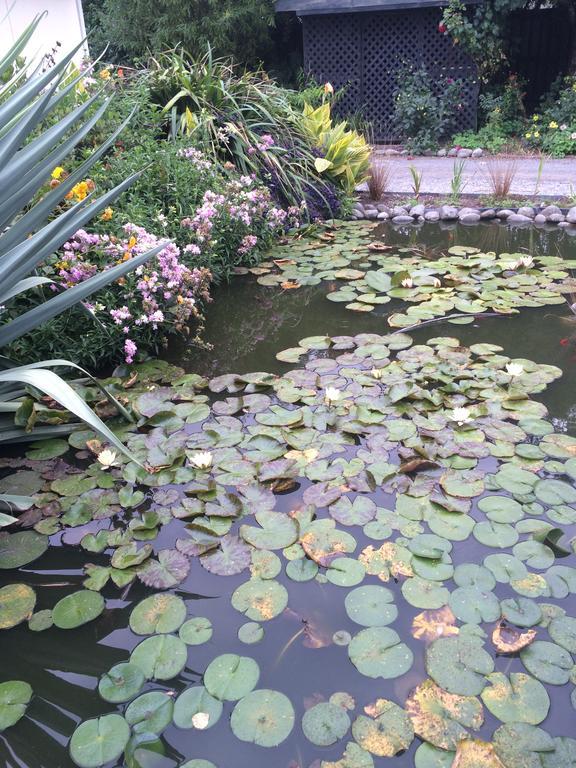 Bed and Breakfast Water Lily Garden Крайстчёрч Экстерьер фото