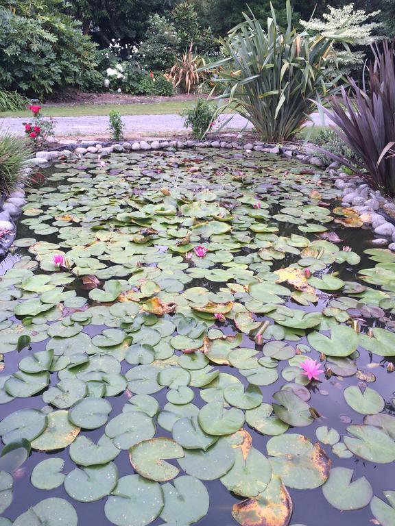 Bed and Breakfast Water Lily Garden Крайстчёрч Экстерьер фото